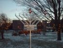 9 Foot Menorah